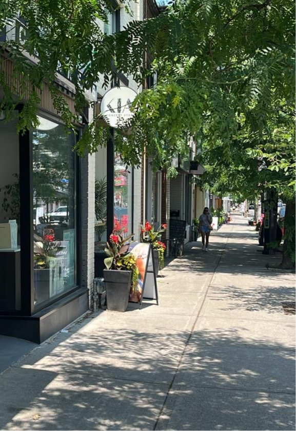 Silver Shell Stud Earrings - Earrings - Kia Concept Store