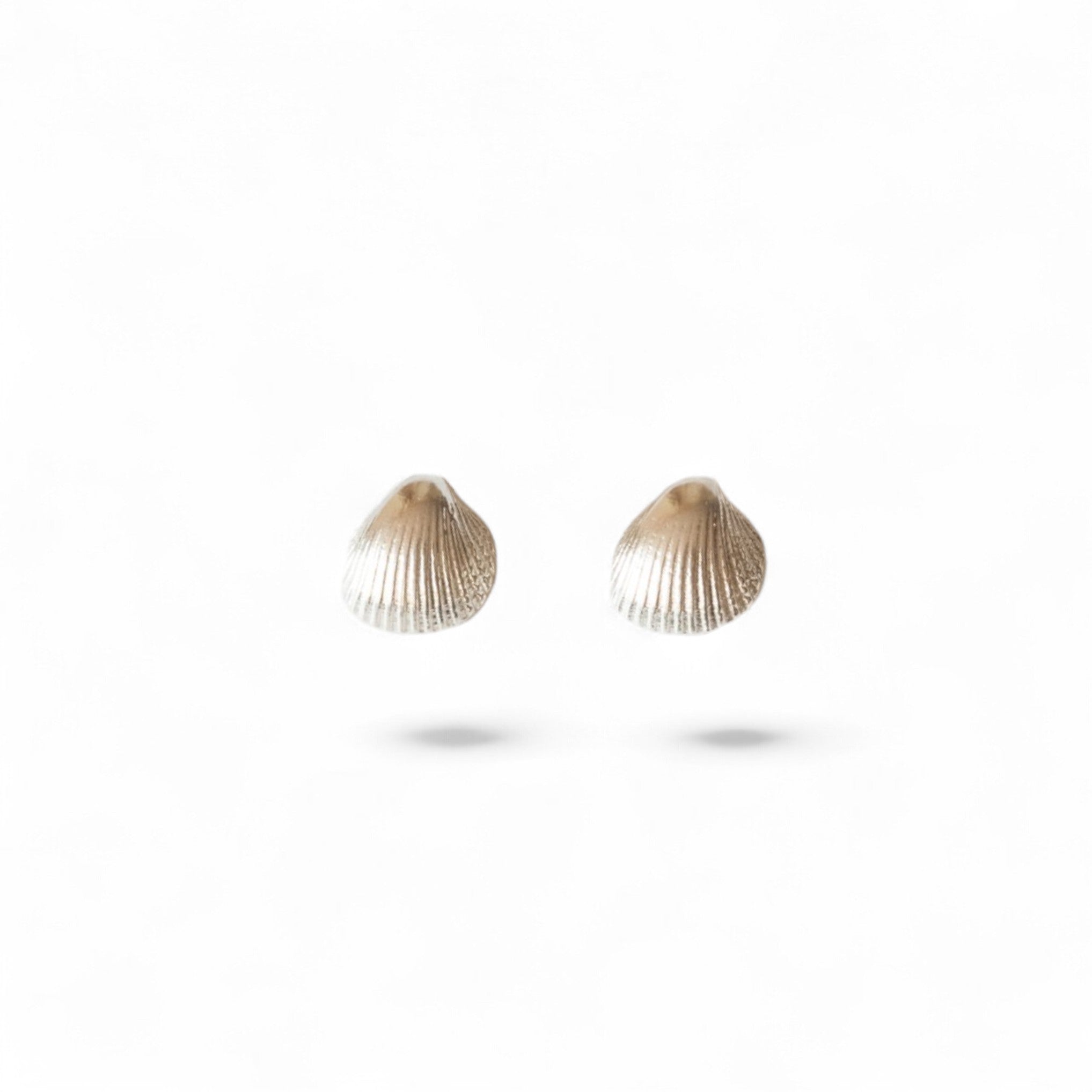 Silver Shell Stud Earrings