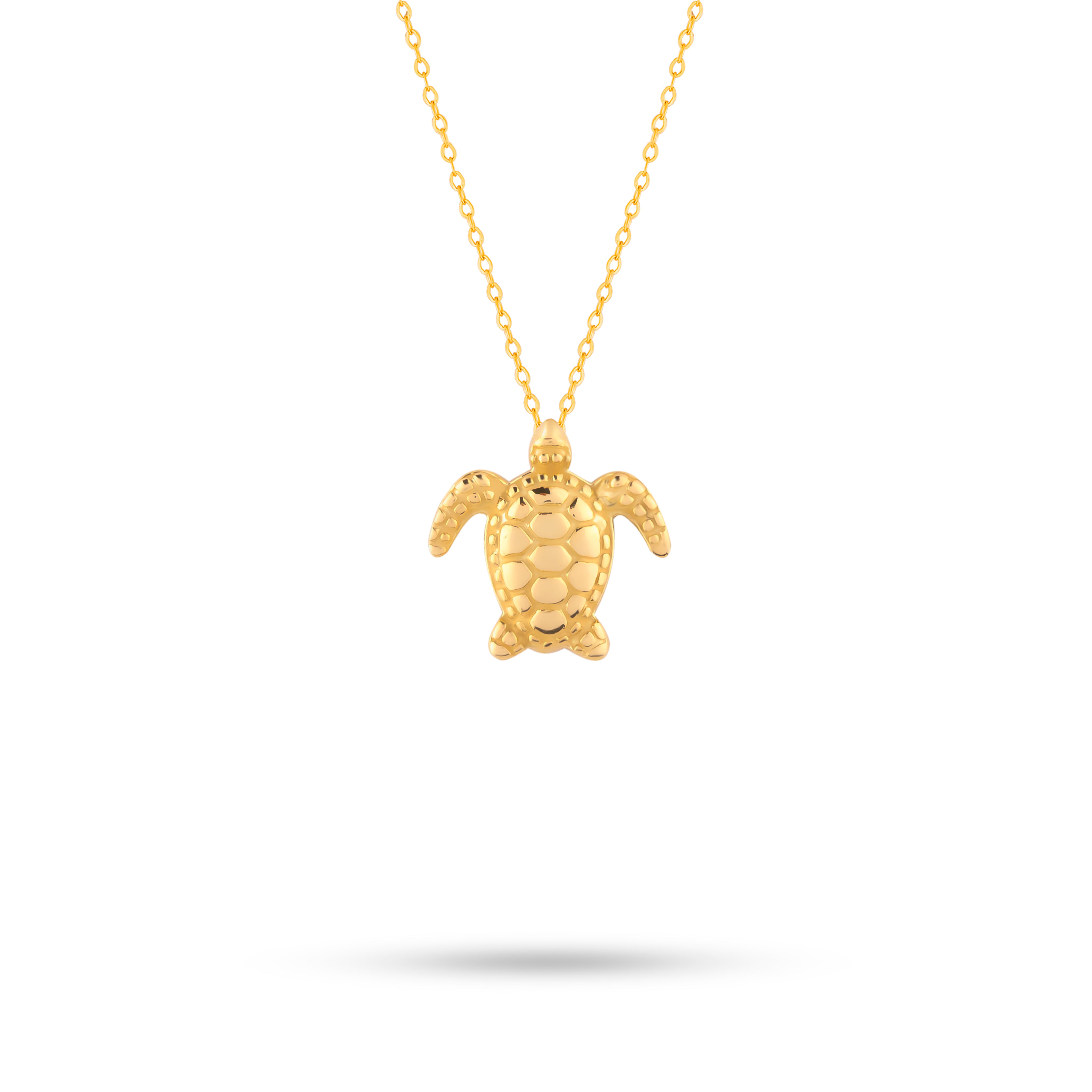 Turtle On Chain